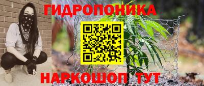 Альфа ПВП Шахты