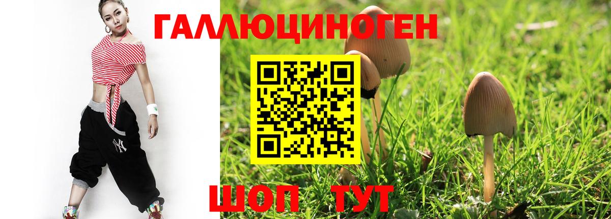 как найти закладки  Вход с VPN  Сердобск  Псилоцибиновые грибы Magic Shrooms 